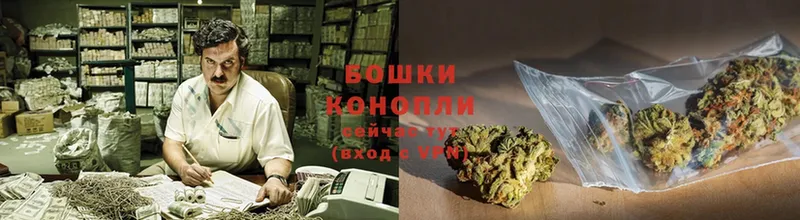 Канабис Bruce Banner  Ардон 